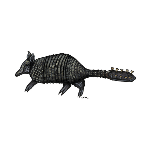Stringadilllo — signed Giclée print of a hybrid armadillo-guitar illustration by Maria Keller, from the Hybrids Collection