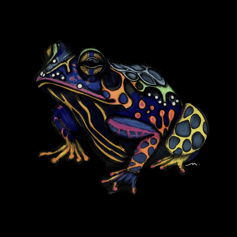 Psychedelic Frog — neon tree frog drawn in ink and flooded with acrylic on a black background