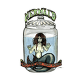 Fiji Mermaid — hand-drawn sideshow oddity, a Fiji mermaid preserved in a specimen jar with a hand-lettered banner