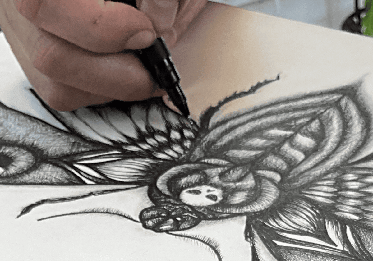 Close-up of the moth's wing being drawn line by line with a fine-point ink pen