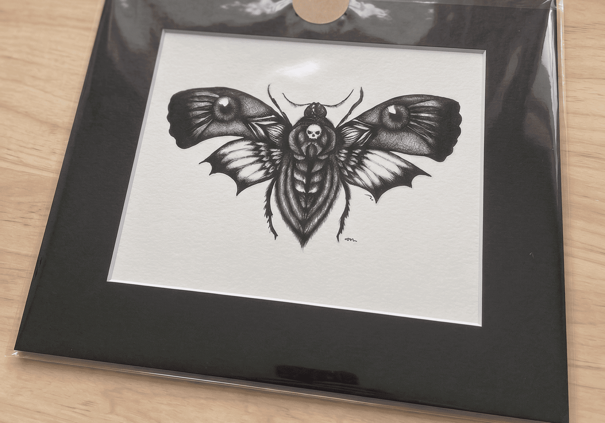 The matted Death's Head Moth print in a clear protective sleeve