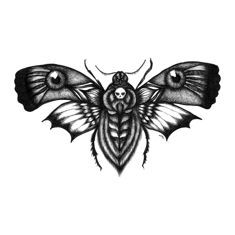 Death's Head Moth — hand-drawn ink illustration of a death's head hawkmoth, a skull marking on its thorax and a pale eye on each wing