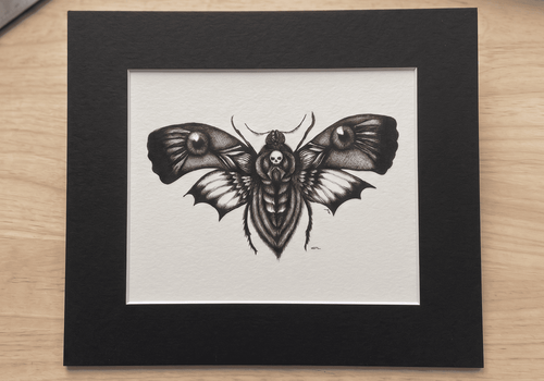 The Death's Head Moth giclée print in its black mat, ready for a standard frame