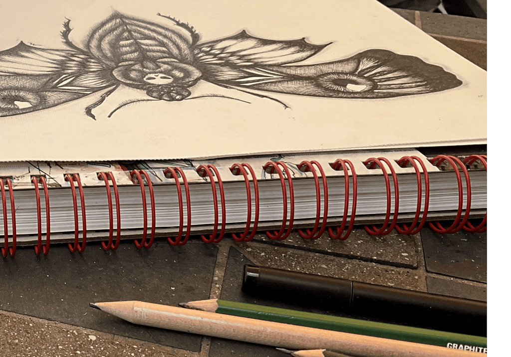 The moth drawing in progress on a cream sketchbook page, pencils alongside