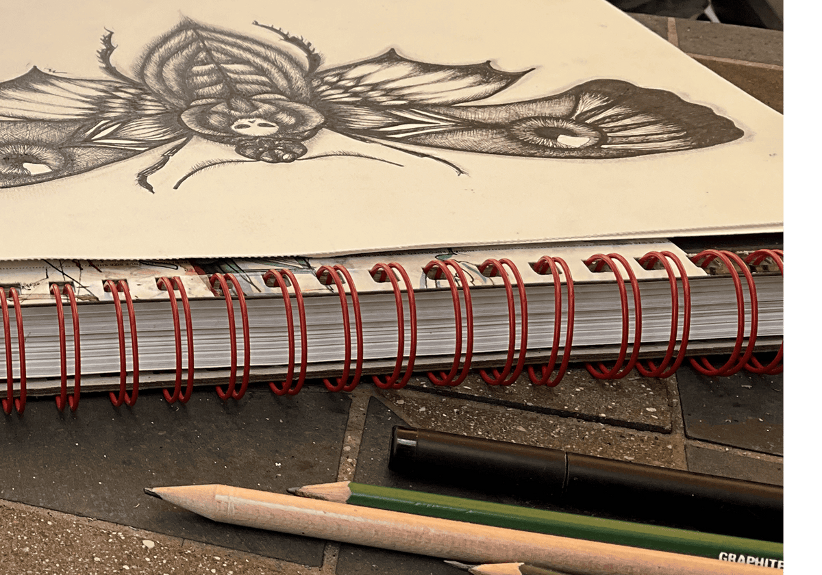 The moth drawing in progress on a cream sketchbook page, pencils alongside
